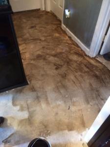 How to Stain Concrete Floors by Wymberly Impressions