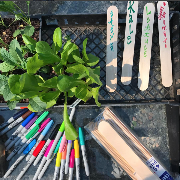 Screen Shot 2017-03-06 at 12.10.47 PM